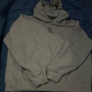 Gray Hollister Puppy Hoodie Never Worn